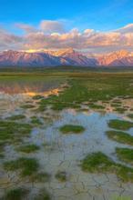 爱.如果.梦文集