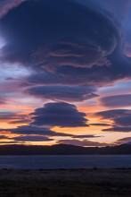 暗香盈袖之清扬文集