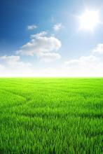 传说超级赛亚人之神