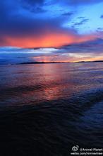 沧海笑书生文集