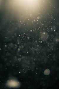 在海贼世界卖军火