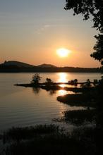 等待的傻鱼文集