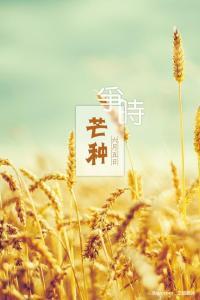 带翅膀的十字架文集