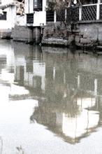 断雁啸西风文集