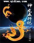 神龙五行记