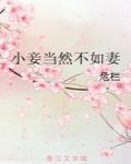 小妾当然不如妻