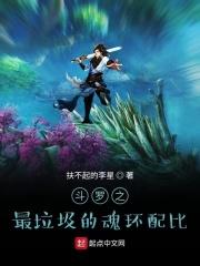 斗罗之最垃圾的魂环配比