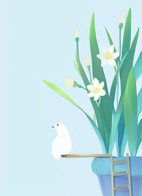 苏倩薇陆明沉白芷