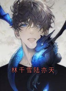 陆亦天林千雪苏衍尘